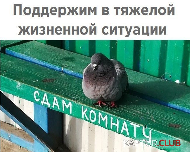 77e2f3bf99a9c40d925f930bd3c.jpg | Рено Каптур Клуб Россия | Форум KAPTUR.SU