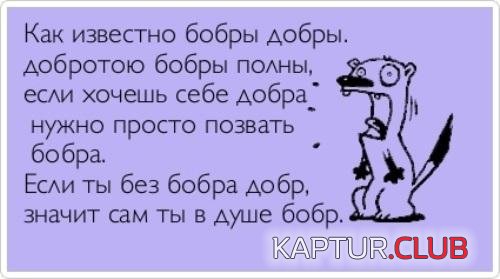 78e798dedbc6c7ef9719b8f151a.jpg | Рено Каптур Клуб Россия | Форум KAPTUR.SU