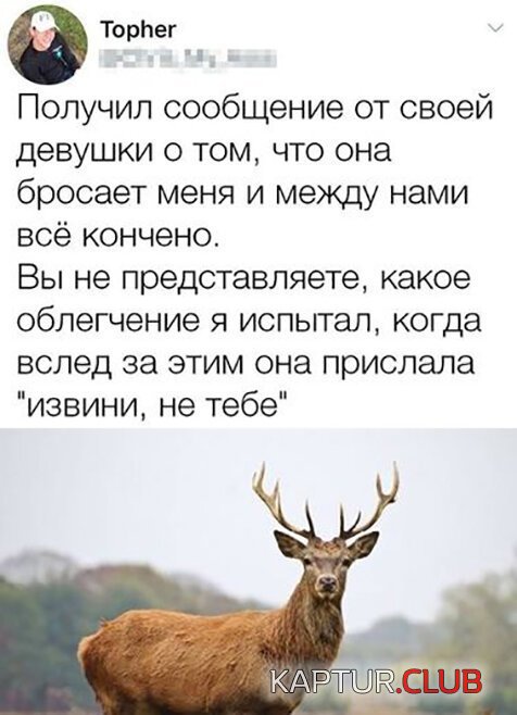 78f74d89a6be018fb0cf87cc4a8.jpg | Рено Каптур Клуб Россия | Форум KAPTUR.SU