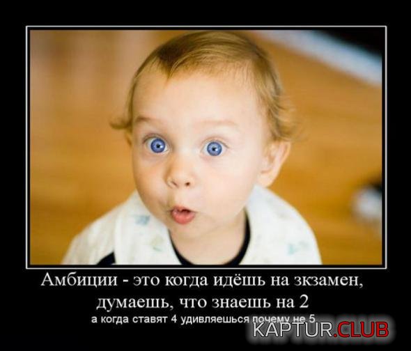 7920fa23a6ae72d9b866ab3873d_prev.jpg | Рено Каптур Клуб Россия | Форум KAPTUR.SU
