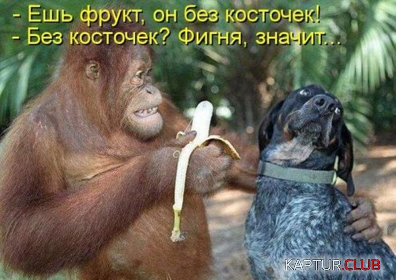 7971313e86dfebbc5324321d628_prev.jpg | Рено Каптур Клуб Россия | Форум KAPTUR.SU