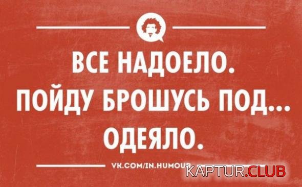 798b4c81933317614a6cffb3aed_prev.jpg | Рено Каптур Клуб Россия | Форум KAPTUR.SU