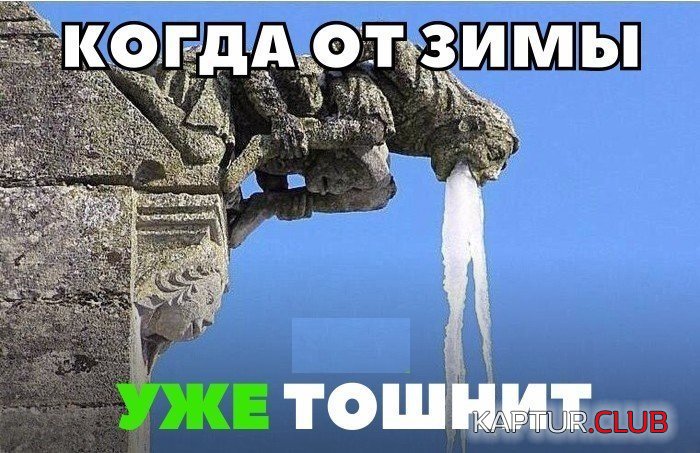 79bba6b2f25c72c5be189761d92.jpg | Рено Каптур Клуб Россия | Форум KAPTUR.SU