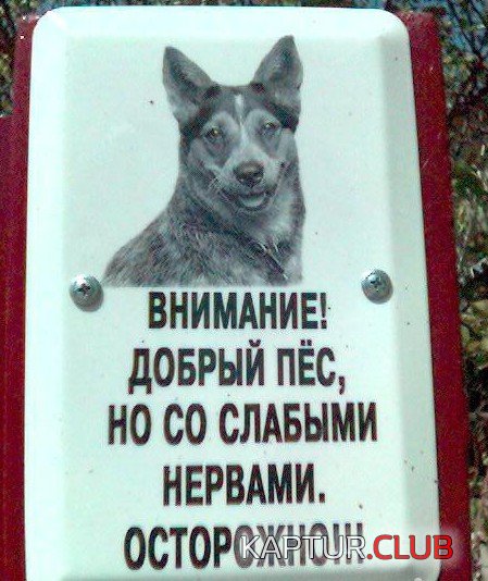 7a42f37fd8454356e788e154eb4.jpg | Рено Каптур Клуб Россия | Форум KAPTUR.SU