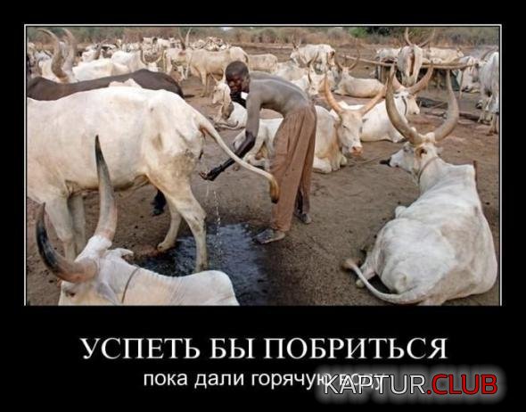 7a4d584350f042680d9a6e35951_prev.jpg | Рено Каптур Клуб Россия | Форум KAPTUR.SU