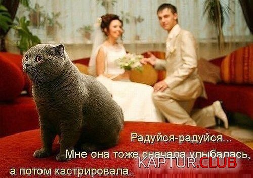 7b00b5fa9fef9eee7f0a26f357d.jpg | Рено Каптур Клуб Россия | Форум KAPTUR.SU