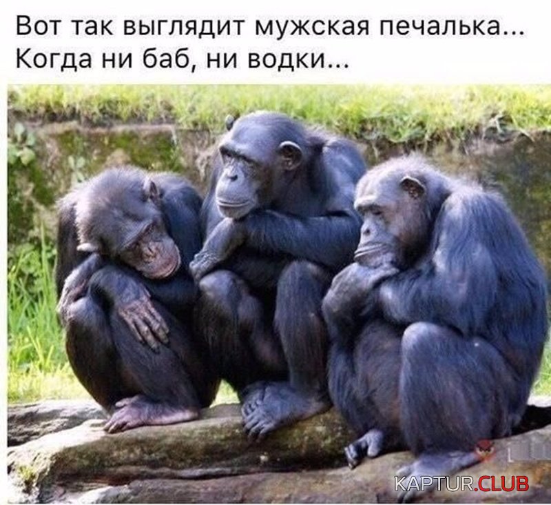 7b2a1348895a05fdcd1e6806e58.jpg | Рено Каптур Клуб Россия | Форум KAPTUR.SU