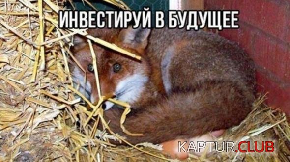 7b347fb72fedf2e72fd8df0b94f_prev.jpg | Рено Каптур Клуб Россия | Форум KAPTUR.SU