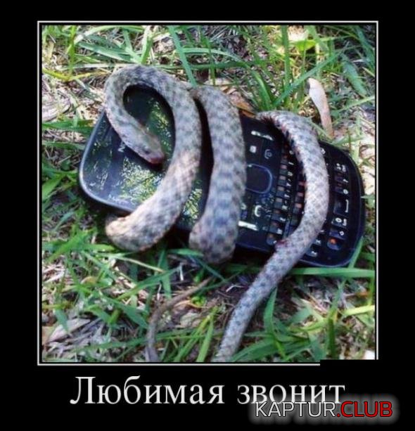 7b534cba3af0d8b4d9163c6d9fc_prev.jpg | Рено Каптур Клуб Россия | Форум KAPTUR.SU