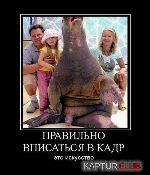 7b9373d06792d3685a7aad4fd5e.jpg | Рено Каптур Клуб Россия | Форум KAPTUR.SU