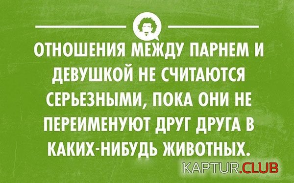 7bc16a533280574fa868830ccb2.jpg | Рено Каптур Клуб Россия | Форум KAPTUR.SU