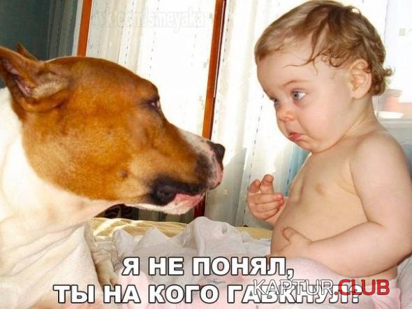 7bf5c66b5f5b9a87b2152091364_prev.jpg | Рено Каптур Клуб Россия | Форум KAPTUR.SU