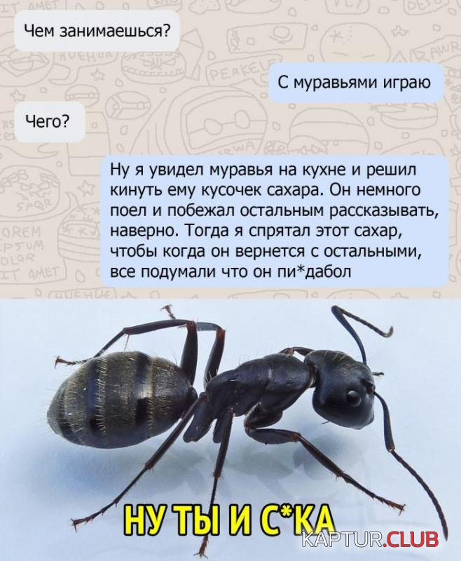 7c16c5ccbaab6fe8cbe652affe9_prev.jpg | Рено Каптур Клуб Россия | Форум KAPTUR.SU