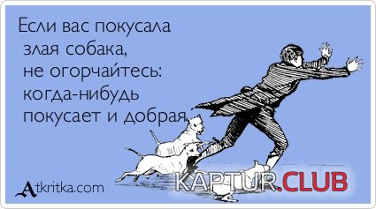 7c2167e24dca870d712bcbee2af.jpg | Рено Каптур Клуб Россия | Форум KAPTUR.SU