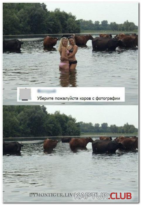 7cbe5567de87684f601e60b9306_prev.jpg | Рено Каптур Клуб Россия | Форум KAPTUR.SU