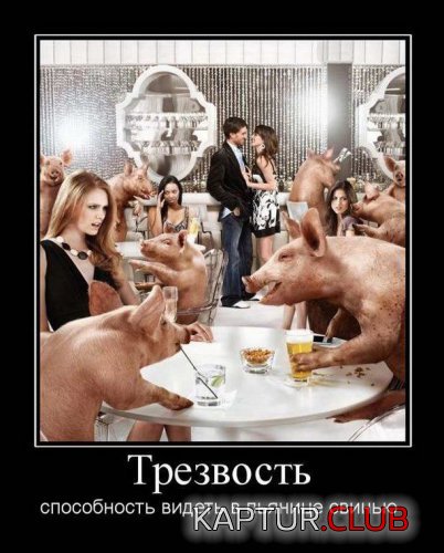 7cdaa6128d3fa088412402cb411.jpg | Рено Каптур Клуб Россия | Форум KAPTUR.SU
