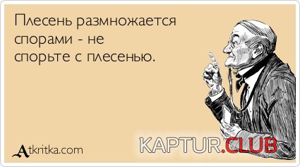 7cf8322a05055f8f4251b90ace7.jpg | Рено Каптур Клуб Россия | Форум KAPTUR.SU