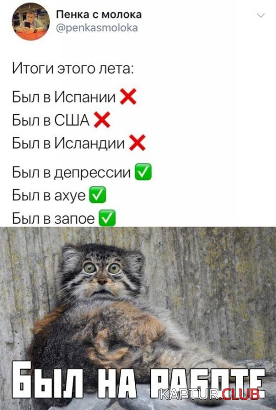 7d1450c640a544126b3ad6c69dd_prev.jpg | Рено Каптур Клуб Россия | Форум KAPTUR.SU
