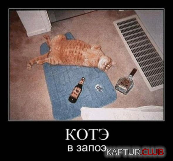 7d3dc0103c7883e9c23c896bd28_prev.jpg | Рено Каптур Клуб Россия | Форум KAPTUR.SU