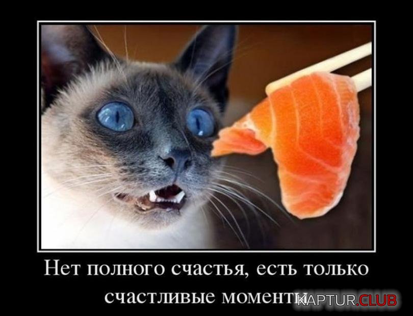 7d581ca86b9c843ba0cb40da226_prev.jpg | Рено Каптур Клуб Россия | Форум KAPTUR.SU