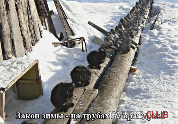 7d6f12c72a2359466bb05a580a0_prev.jpg | Рено Каптур Клуб Россия | Форум KAPTUR.SU