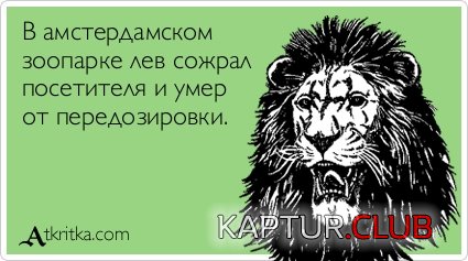 7dad0420fbb293abd067eadb0ed.jpg | Рено Каптур Клуб Россия | Форум KAPTUR.SU