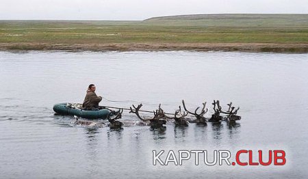 7e07ec17db21b4d2abae1615930.jpg | Рено Каптур Клуб Россия | Форум KAPTUR.SU