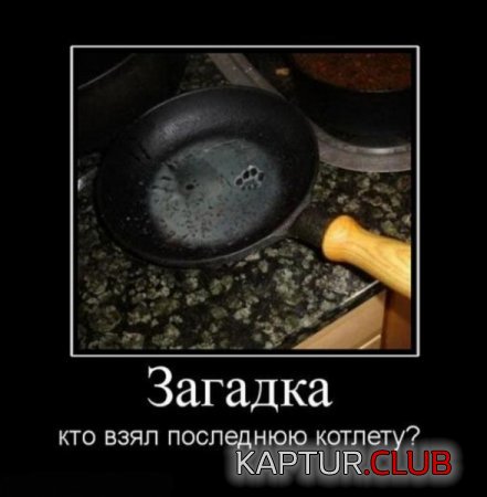 7e2ec551c0d62e045fbcb56b9ce.jpg | Рено Каптур Клуб Россия | Форум KAPTUR.SU