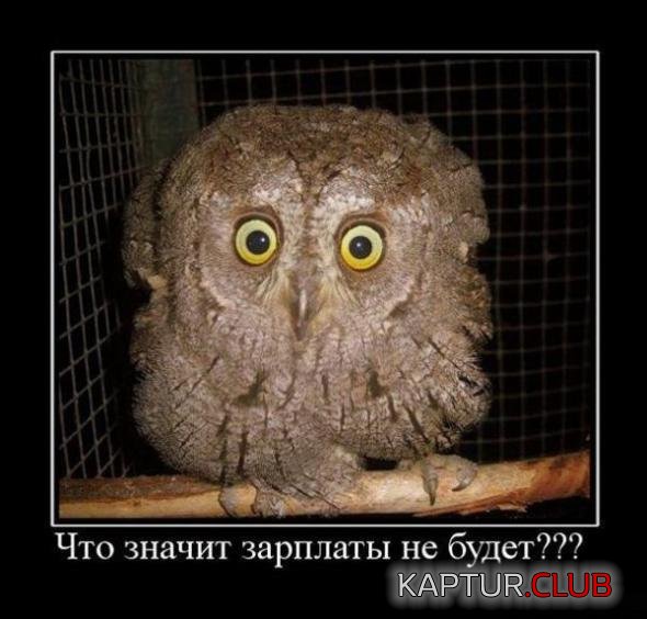7eb7d8b1e2a60738efb39bd7584_prev.jpg | Рено Каптур Клуб Россия | Форум KAPTUR.SU