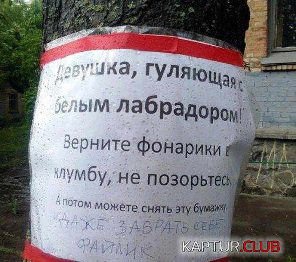 7ec1696d69b45a23b459cf04b1a_prev.jpg | Рено Каптур Клуб Россия | Форум KAPTUR.SU