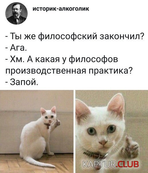 7ed102b5bc78e4fce2d39e1d6a2.jpg | Рено Каптур Клуб Россия | Форум KAPTUR.SU