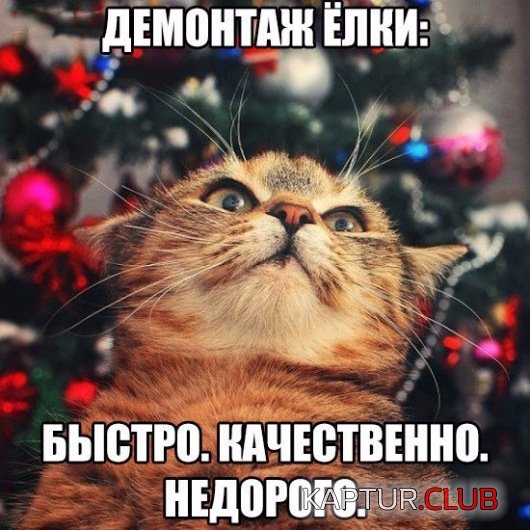 7f1fa8413664ce62f7e1b9c03bd.jpg | Рено Каптур Клуб Россия | Форум KAPTUR.SU