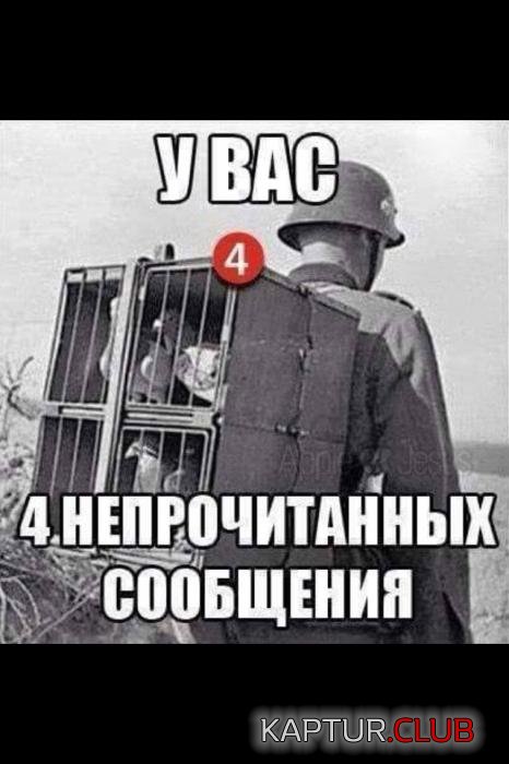 7f2ded35b04e0b5547fcfc7de43_prev.jpg | Рено Каптур Клуб Россия | Форум KAPTUR.SU