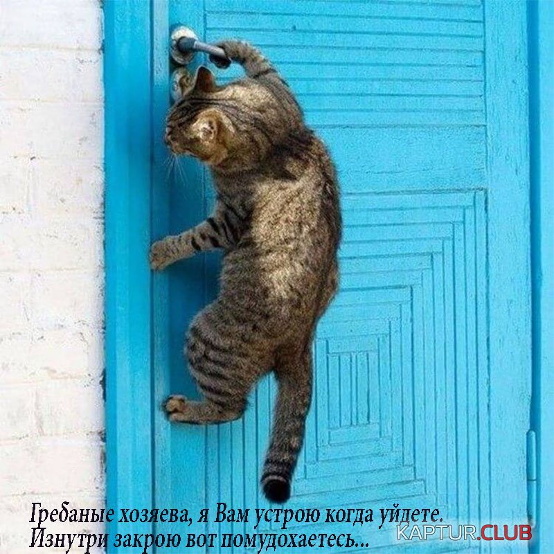 7f68fb07c92425fee5287a61c29.jpg | Рено Каптур Клуб Россия | Форум KAPTUR.SU