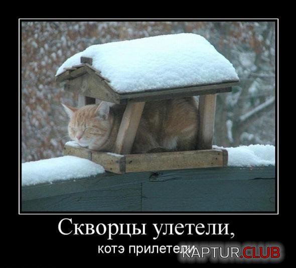 7f8014d2664ca64cd13f6bf430b_prev.jpg | Рено Каптур Клуб Россия | Форум KAPTUR.SU