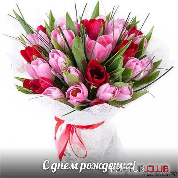 7fc6b679ba817f4c4a33121791a6.jpg | Рено Каптур Клуб Россия | Форум KAPTUR.SU