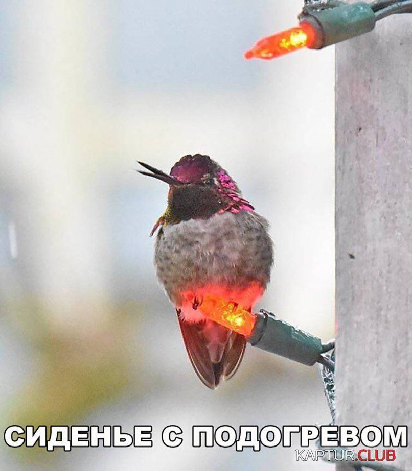 7TjhMoWHQEU.jpg | Рено Каптур Клуб Россия | Форум KAPTUR.SU