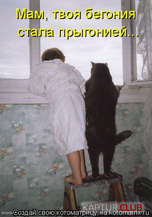 8.png | Рено Каптур Клуб Россия | Форум KAPTUR.SU