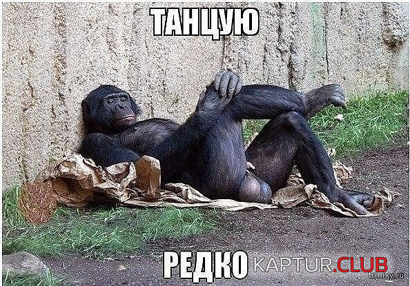 8.png | Рено Каптур Клуб Россия | Форум KAPTUR.SU