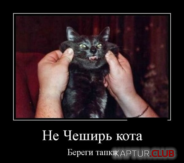 8.png | Рено Каптур Клуб Россия | Форум KAPTUR.SU