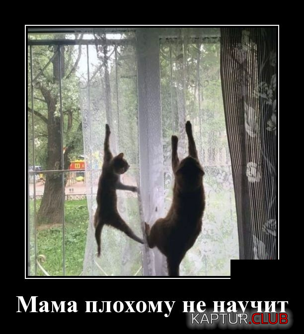 8.png | Рено Каптур Клуб Россия | Форум KAPTUR.SU