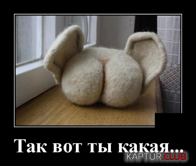8.png | Рено Каптур Клуб Россия | Форум KAPTUR.SU
