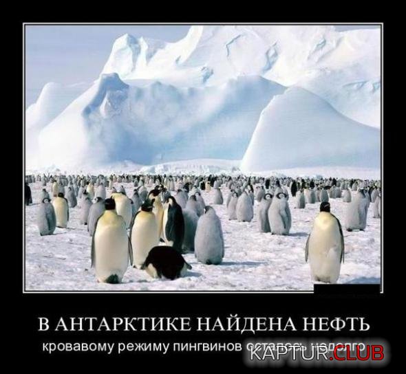 80836131521a451e07af9e15364_prev.jpg | Рено Каптур Клуб Россия | Форум KAPTUR.SU