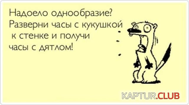 80dedda8691c73f41bd75c363d3.jpg | Рено Каптур Клуб Россия | Форум KAPTUR.SU