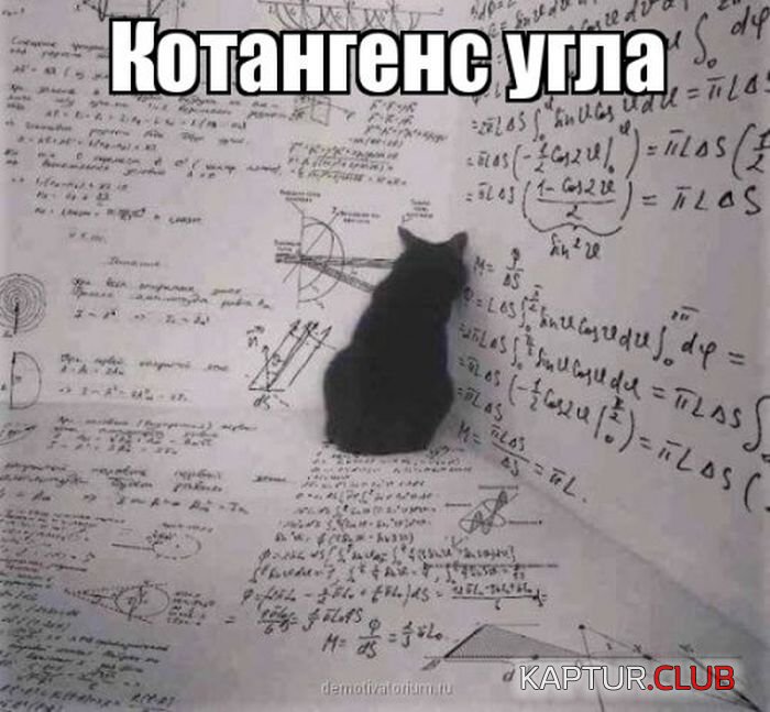 80fbdc279054ad030615478ca87.jpg | Рено Каптур Клуб Россия | Форум KAPTUR.SU
