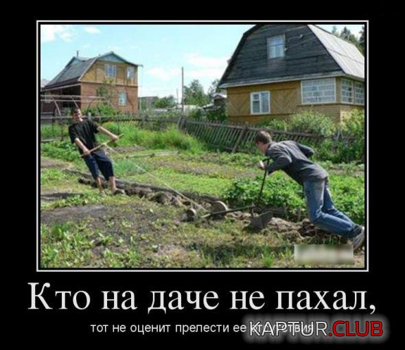 8194f9b8d1143a6071104dd0cc7_prev.jpg | Рено Каптур Клуб Россия | Форум KAPTUR.SU