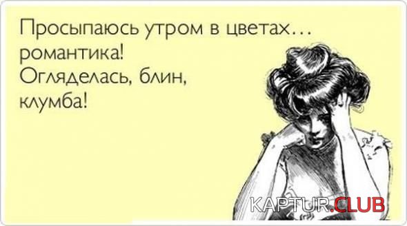 81edd3cc81a88f91922aa2fd315.jpg | Рено Каптур Клуб Россия | Форум KAPTUR.SU