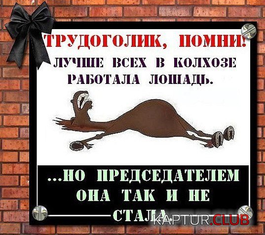 824abc6441a1a4d9cf4de7e8ff9.jpg | Рено Каптур Клуб Россия | Форум KAPTUR.SU