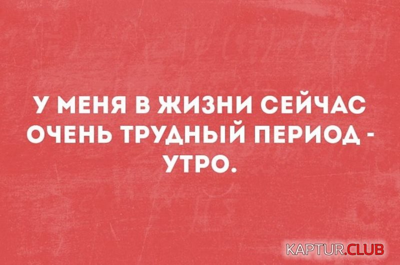 825a501e77a9efe302ca29451a9.jpg | Рено Каптур Клуб Россия | Форум KAPTUR.SU