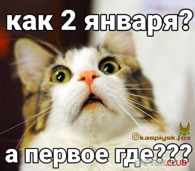 82678c825207d71a8e9a776b927.jpg | Рено Каптур Клуб Россия | Форум KAPTUR.SU